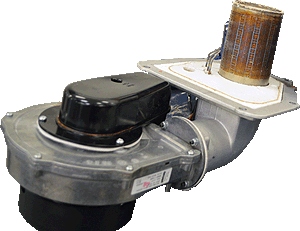 bx bermuda he fan bur assy removed.gif